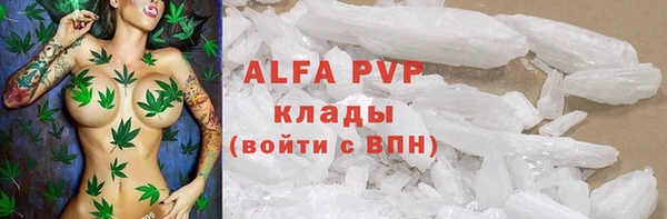 apvp Алексин