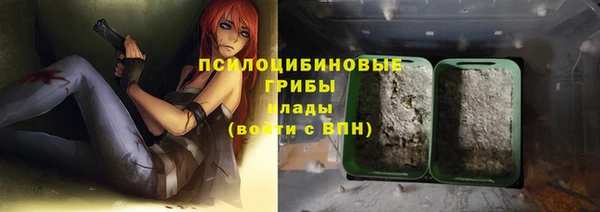 Альфа ПВП Алзамай