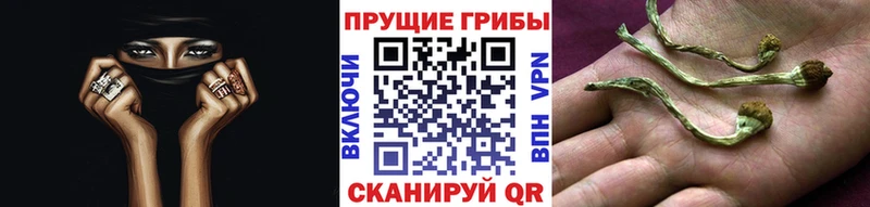Галлюциногенные грибы Cubensis  Слободской 