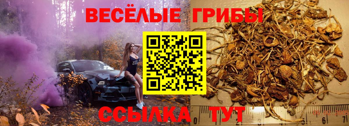 Псилоцибиновые грибы MAGIC MUSHROOMS Слободской