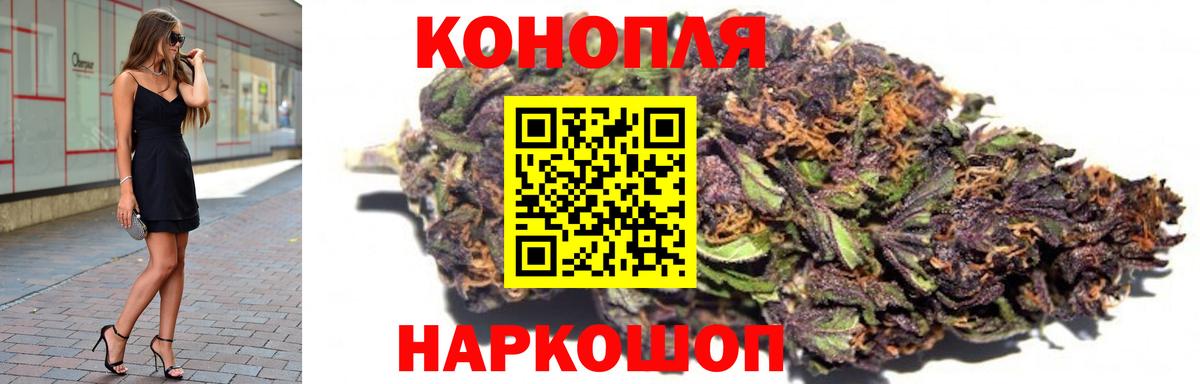 Конопля Bruce Banner  Вход с VPN  Каннабис гибрид  Бошки Шишки семена  Бошки Шишки THC 21%  Слободской 
